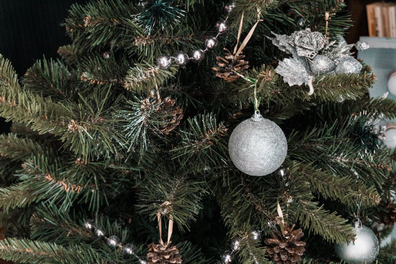Do You Need to Spend a Fortune on a Christmas Tree?